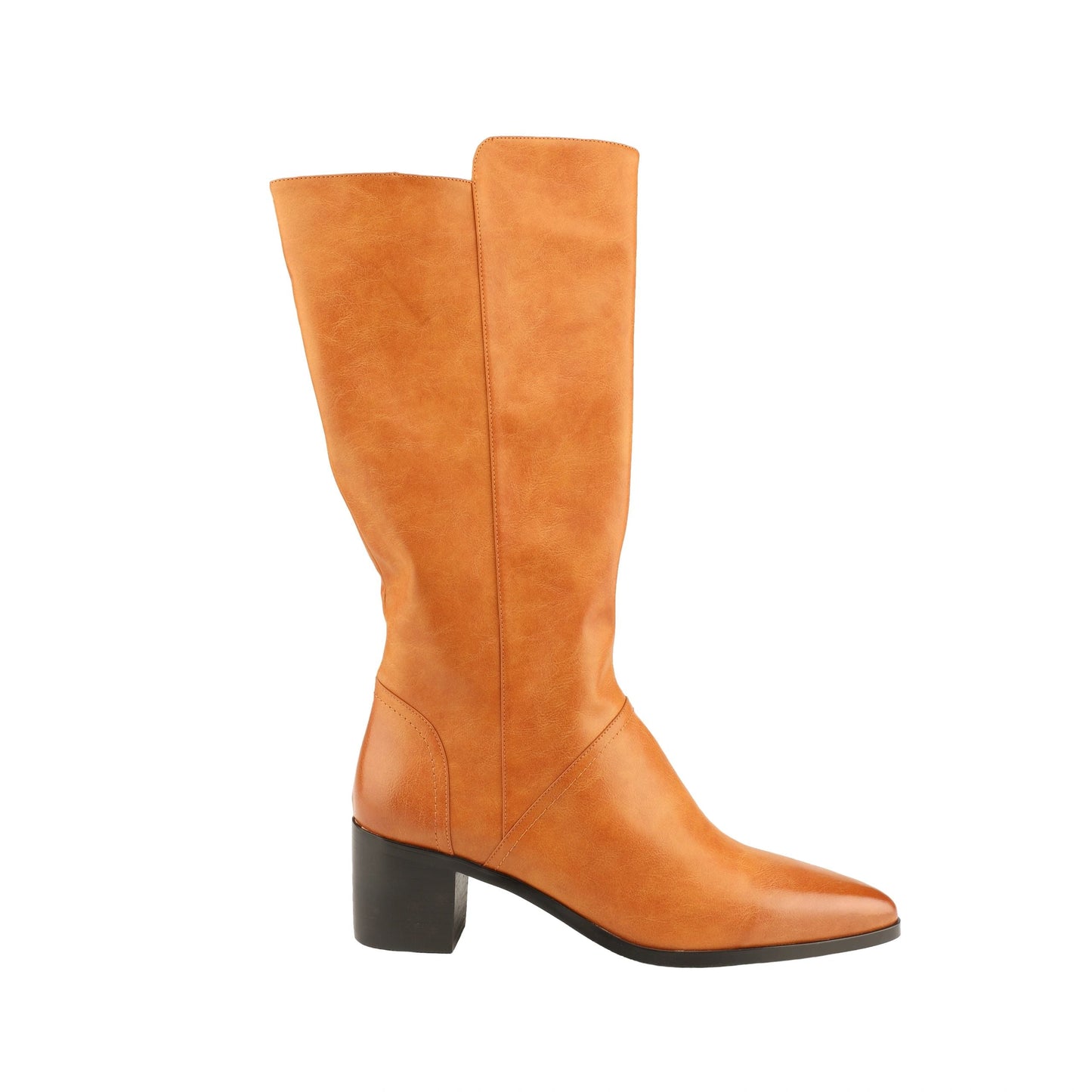 Vangel Pointed Toe Calf High Boots-Camel